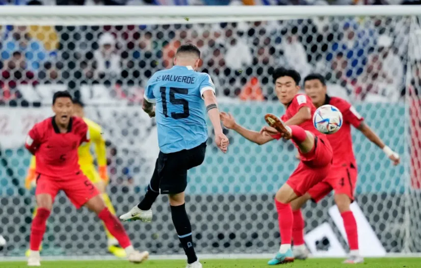Hàn Quốc cùng Uruguay thiết lập kỷ lục 'bắn chim' tại World Cup ảnh 2