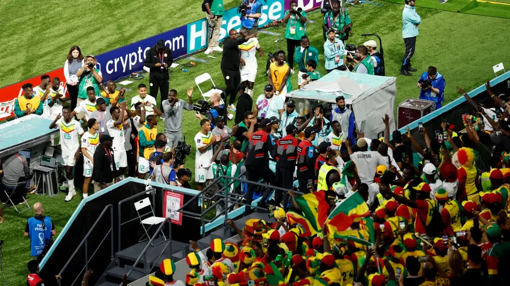 Người Senegal ăn mừng không ngớt sau chiến tích lịch sử ảnh 4