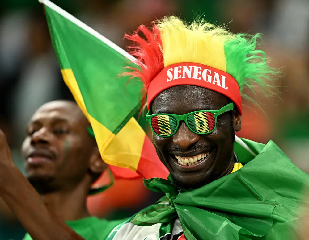 Tuyển Senegal gục ngã vì CĐV... 'xếp hàng sai' ảnh 5
