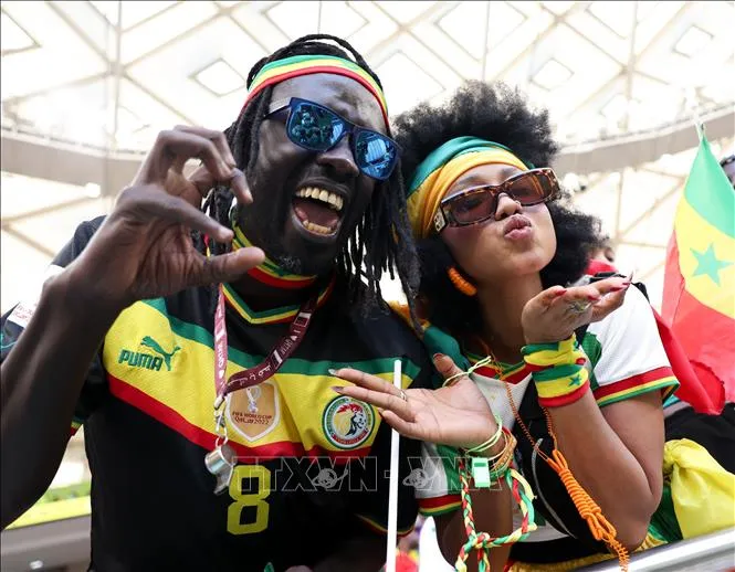 Tuyển Senegal gục ngã vì CĐV... 'xếp hàng sai' ảnh 4