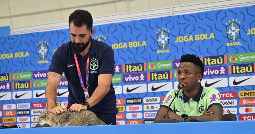 Chú mèo dễ thương 'ghé thăm' đội tuyển Brazil ảnh 1