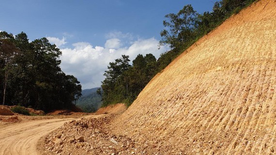 Truong Son Dong Road's investor blatantly destroys 15ha of special-use forest ảnh 1