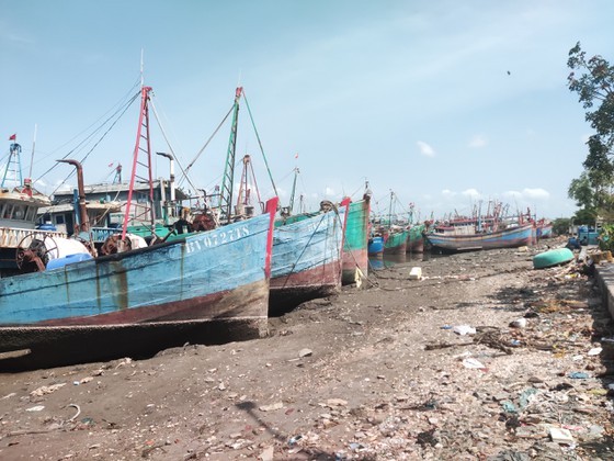 Petrol stations still run out of gasoline ảnh 8