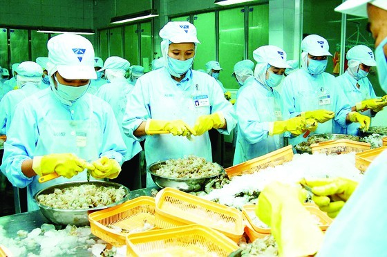 Vietnamese agriculture seeks ways to adapt amid Russia-Ukraine war ảnh 2