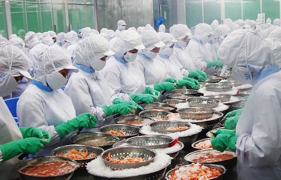 Vietnamese agriculture seeks ways to adapt amid Russia-Ukraine war ảnh 1