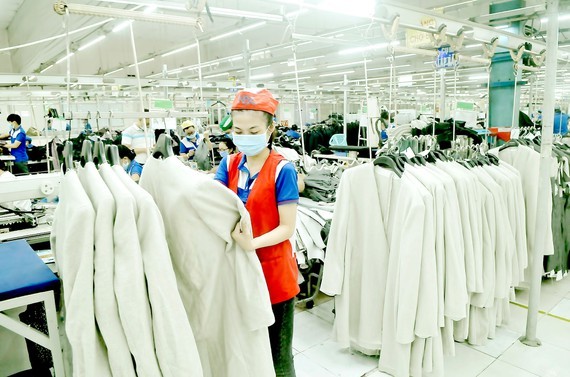 Vietnam-India trade: exploring new market ảnh 1