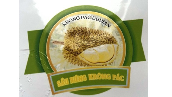 Krong Pac durian receives collective trademark registration certificate ảnh 1