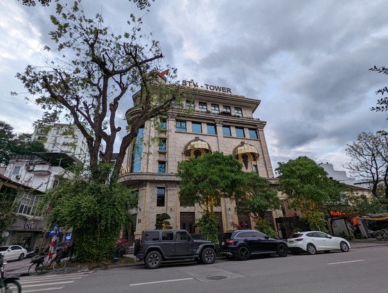 Chairman of Tan Hoang Minh Group arrested ảnh 3