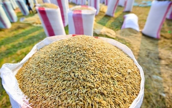 Tariff quotas for rice, dried tobacco imported from Cambodia announced ảnh 1