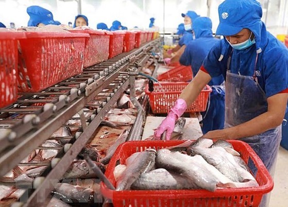 Vietnam’s seafood exports to EU expected to continue to increase ảnh 1
