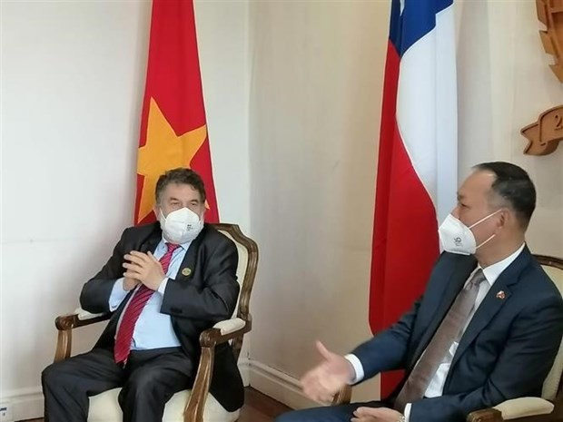 Vietnam seeks strong relations with Chilean region ảnh 1
