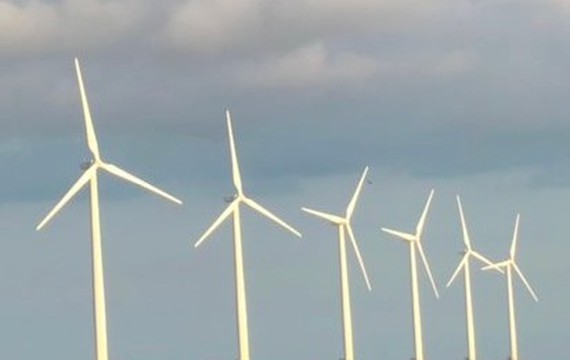 First wind power plant in Ca Mau Province inaugurated ảnh 1