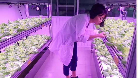 National University HCMC promotes research, technology transfer in agriculture ảnh 1