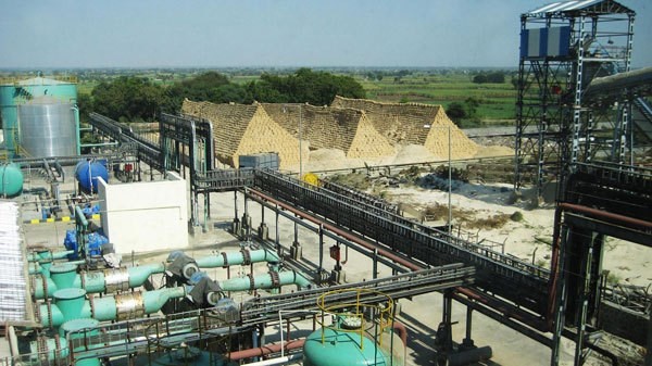 Vietnam has huge biomass power potential, but more incentives needed ảnh 1