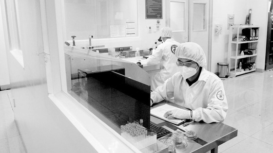 HCMC takes many measures to energize businesses ảnh 2