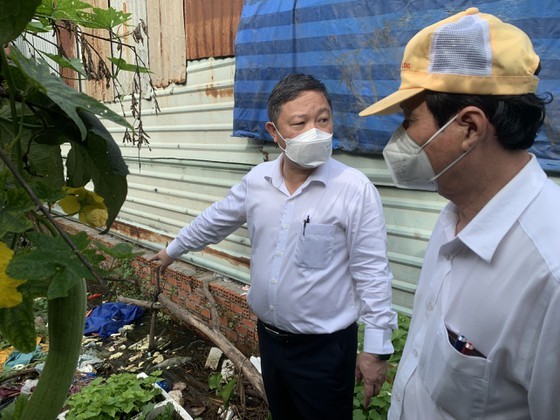HCMC launches dengue fever prevention campaign ảnh 9