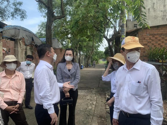 HCMC launches dengue fever prevention campaign ảnh 11