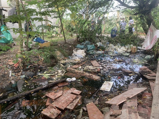 HCMC launches dengue fever prevention campaign ảnh 14