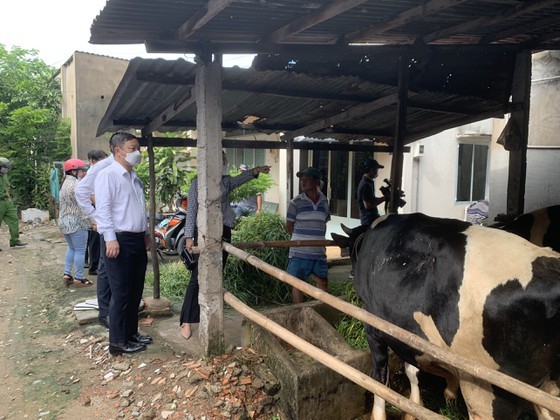 HCMC launches dengue fever prevention campaign ảnh 8