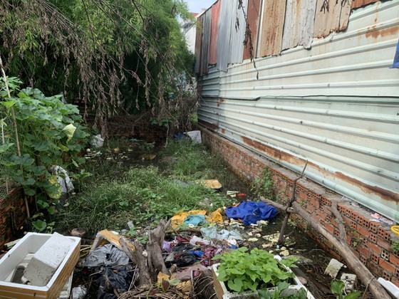 HCMC launches dengue fever prevention campaign ảnh 15