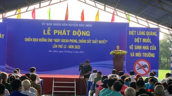 HCMC launches dengue fever prevention campaign ảnh 4