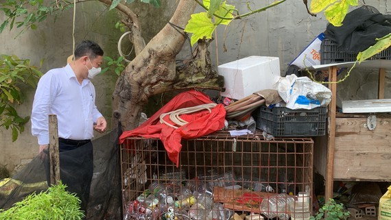 HCMC launches dengue fever prevention campaign ảnh 1