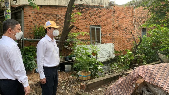 HCMC launches dengue fever prevention campaign ảnh 12