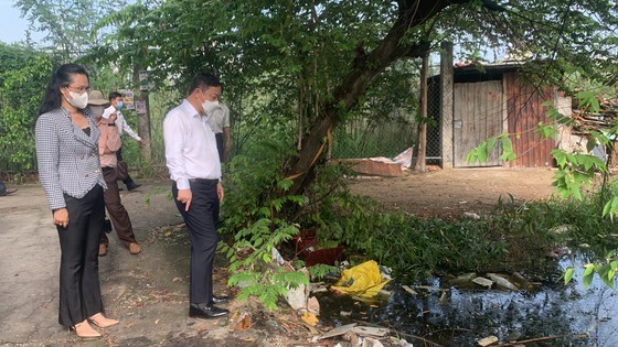 HCMC launches dengue fever prevention campaign ảnh 13