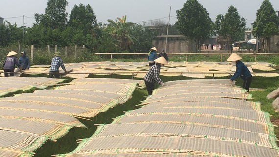 Vietnamese vermicelli, glass noodles, pho noodles enter EU market more easily ảnh 1