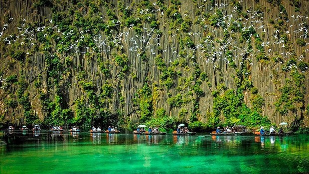 Workshop seeks to promote responsible tourism and wildlife conservation ảnh 1