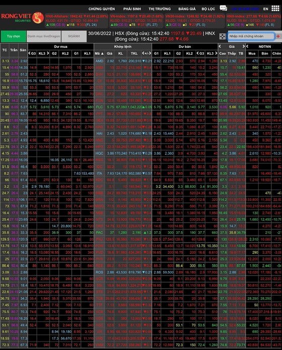 Investors unexpectedly flee, VN-Index wraps Q2 below 1,200 points ảnh 1