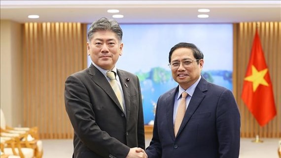 Vietnam proposes Japan help in law-making capacity building ảnh 1
