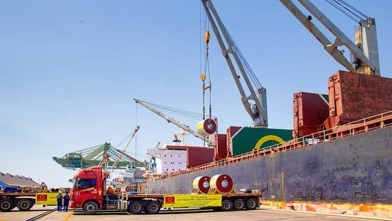 HCMC proposes investment in international transshipment port in Can Gio District ảnh 1