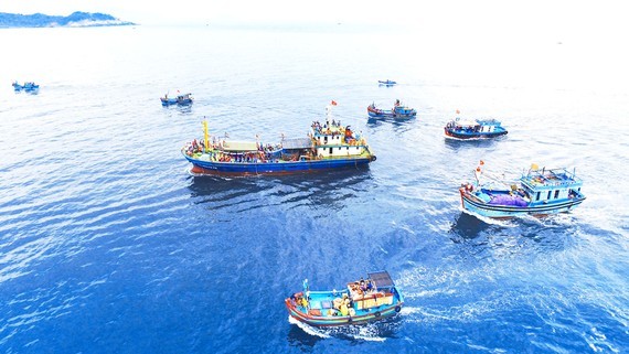 Vietnam ready to cooperate and share experience in combating illegal fishing ảnh 1