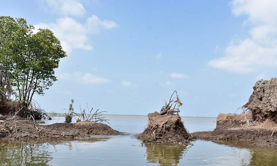 Kien Giang Province invests more than VND17 trillion to prevent erosion ảnh 1