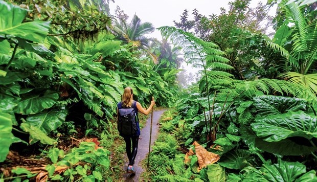 Localities accelerate digital transformation in tourism ảnh 1