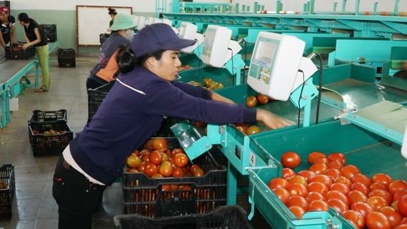 Enterprises concerned about losing export momentum ảnh 1