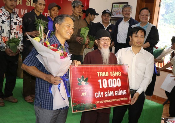 Ten thousand Ngoc Linh ginseng plants provided to poor households for free ảnh 1