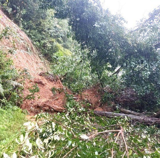 Three dead and missing, thousands of houses damaged in aftermath of typhoon Noru ảnh 6