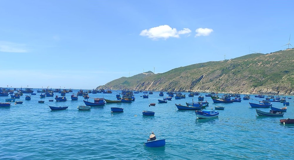 Removal of fishing “yellow card” an urgent task: Deputy PM ảnh 1