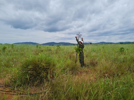 Forest land in Central Highlands provinces traded publicly ảnh 1