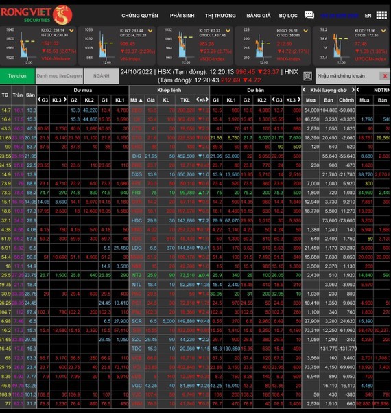 Real estate stocks hit floor price massively, VN-Index retreats to 996.4 points ảnh 1
