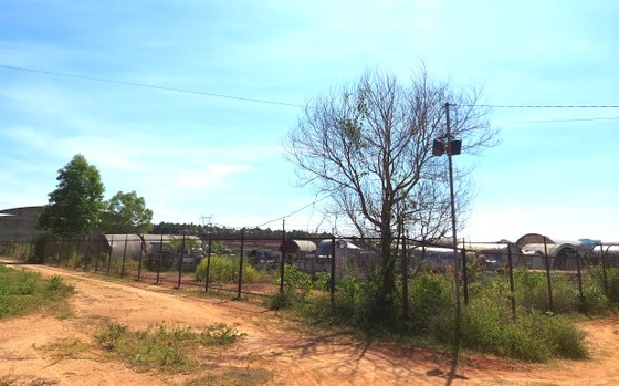 Many violations in 48 investment projects in Kon Tum Province ảnh 2