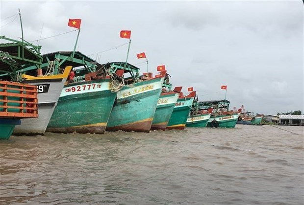 Vietnam making utmost efforts to tackle IUU fishing: Deputy PM ảnh 1