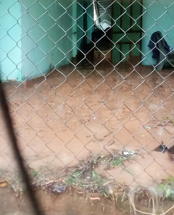 Isolated thunderstorms forecasted for Central Highlands, Southern region ảnh 3