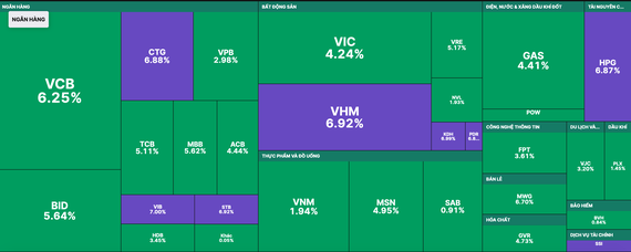 Shares soar on the rise of pillar stocks ảnh 1