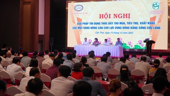 Banks prioritize credit for agricultural product in Mekong Delta ảnh 2