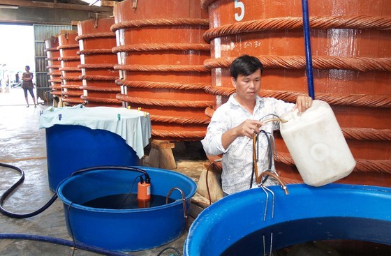 Phu Quoc fish sauce craft becomes national intangible cultural heritage ảnh 2