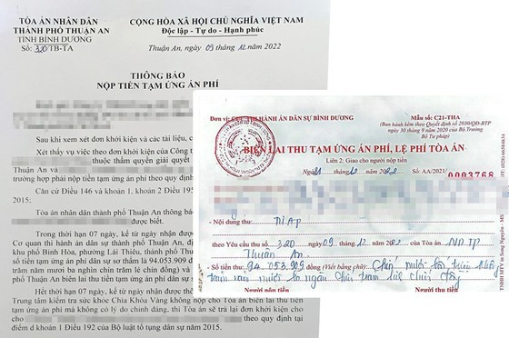 Some medical enterprises have sent documents to call for help and even sued to court. (Photo: SGGP)