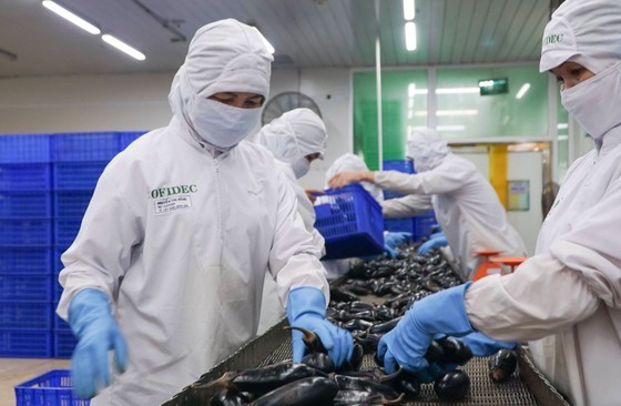 Production at a food processing company in HCMC. (Photo: SGGP)